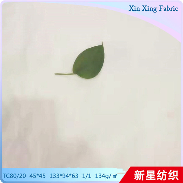 TC80/20 4545 1339463 1/1 134g/㎡
